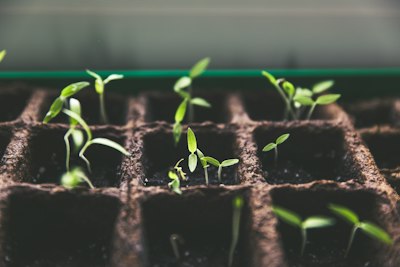 Por que Escolher Investimentos Sustentáveis em Mercados em Mudança?